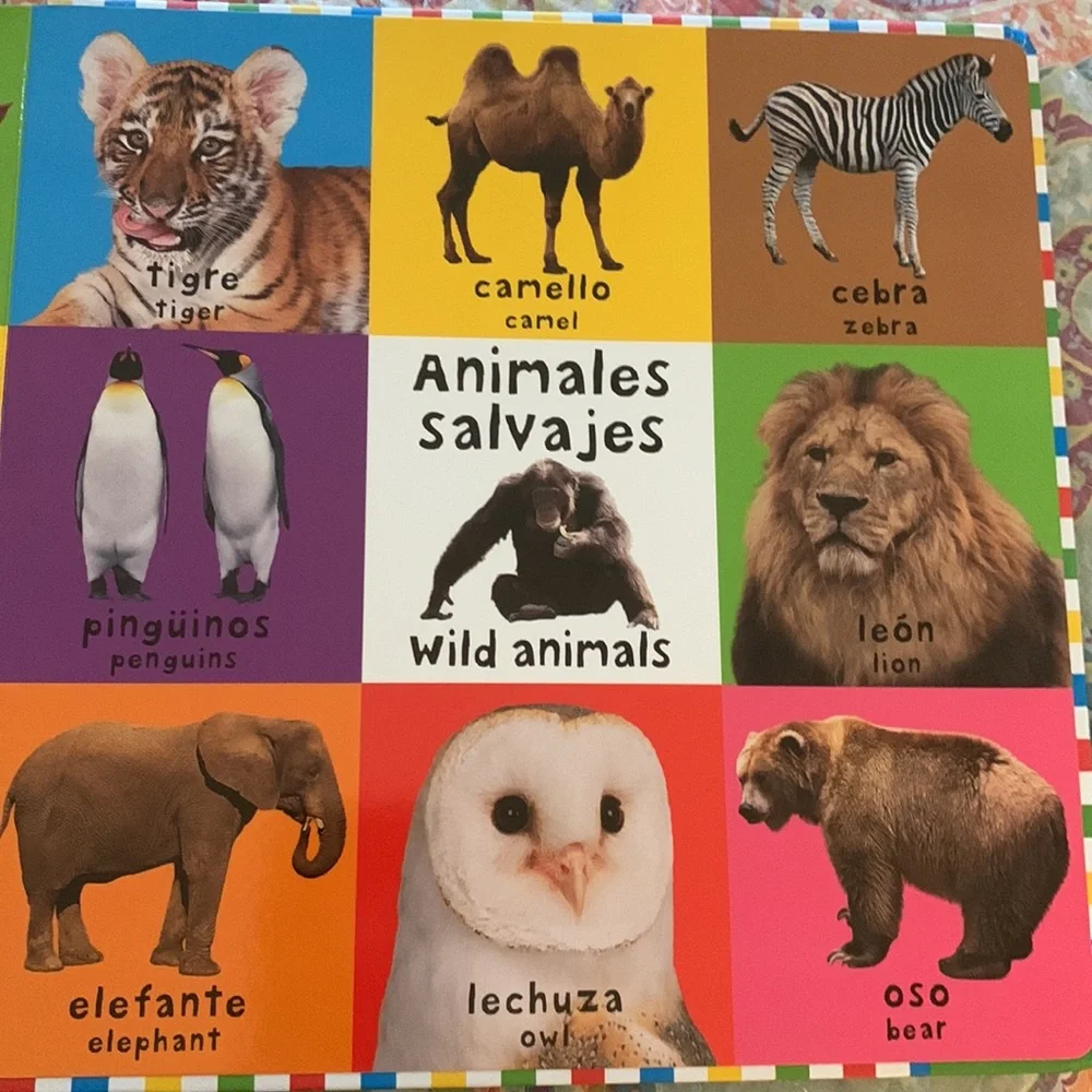 Priddy Books 100 First Primeras Words Palabras in English and Spanish